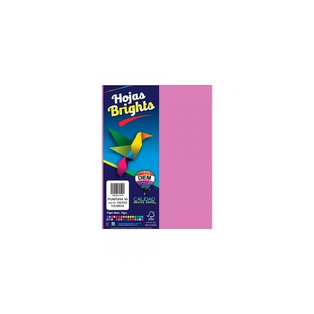 HOJA DE PAPEL DIEM BRIGHTS PAQUETE CON 100 PIEZAS PURPURA 1A TAMAÑO CARTA