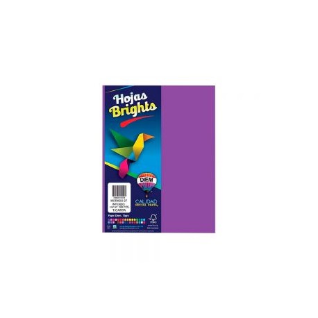 HOJA DE PAPEL DIEM BRIGHTS PAQUETE CON 100 PIEZAS MORADO 22 TAMAÑO CARTA