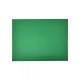 PLIEGO DE CARTULINA DIEM NEON VERDE BANDERA 50 CENTIMETROS X 66 CENTIMETROS 176 GRAMOS