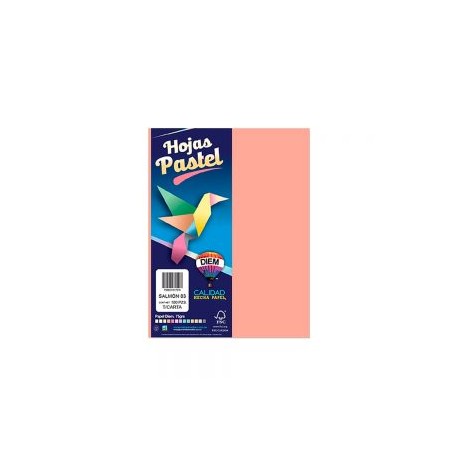 HOJA DE PAPEL DIEM PASTEL PAQUETE CON 100 PIEZAS SALMON 03 TAMAÑO CARTA 75 GRAMOS